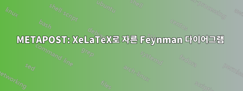 METAPOST: XeLaTeX로 자른 Feynman 다이어그램