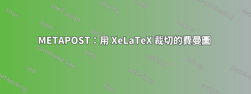 METAPOST：用 XeLaTeX 裁切的費曼圖