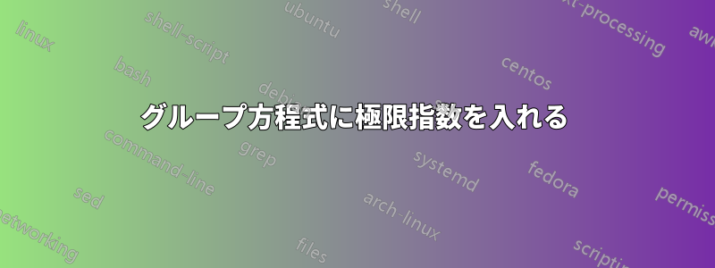 グループ方程式に極限指数を入れる