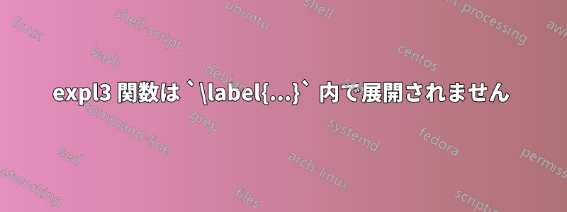 expl3 関数は `\label{...}` 内で展開されません