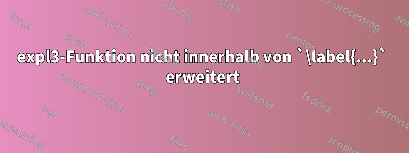 expl3-Funktion nicht innerhalb von `\label{...}` erweitert