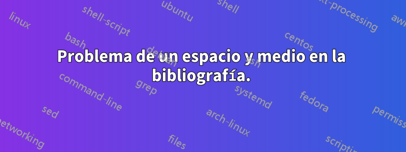 Problema de un espacio y medio en la bibliografía.