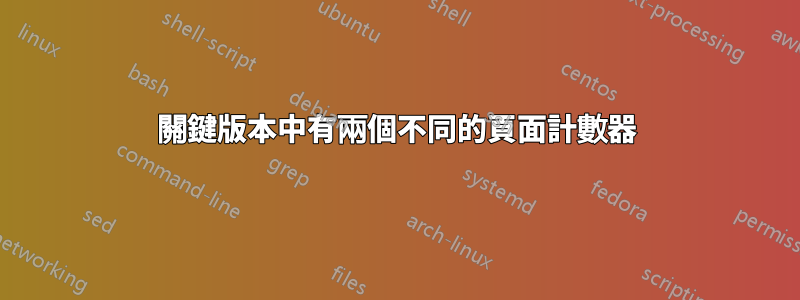 關鍵版本中有兩個不同的頁面計數器