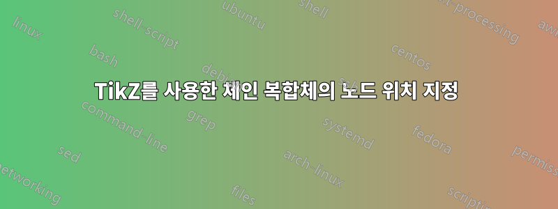 TikZ를 사용한 체인 복합체의 노드 위치 지정