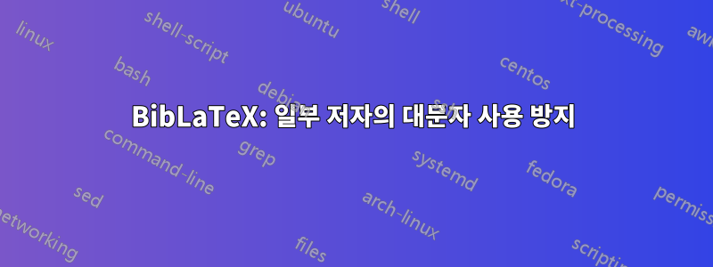 BibLaTeX: 일부 저자의 대문자 사용 방지