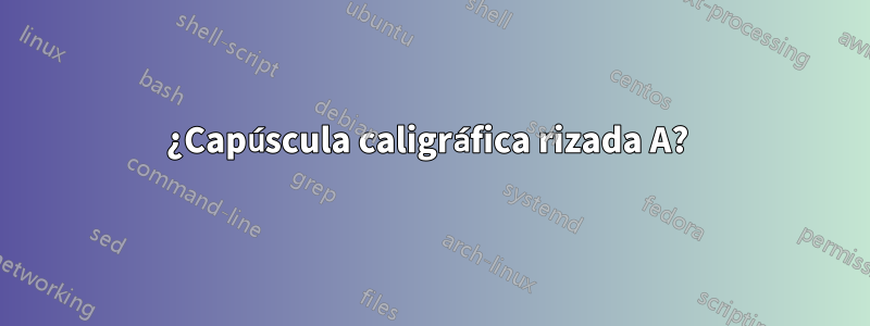 ¿Capúscula caligráfica rizada A? 