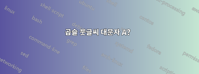 곱슬 붓글씨 대문자 A? 