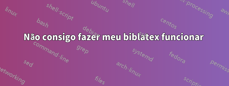 Não consigo fazer meu biblatex funcionar