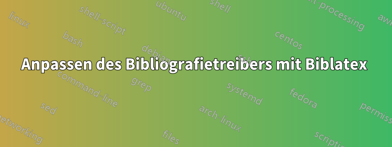 Anpassen des Bibliografietreibers mit Biblatex