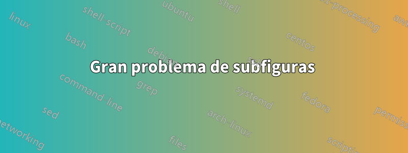 Gran problema de subfiguras