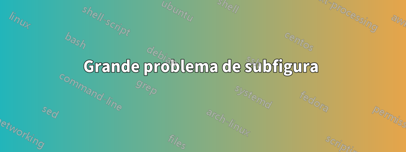 Grande problema de subfigura