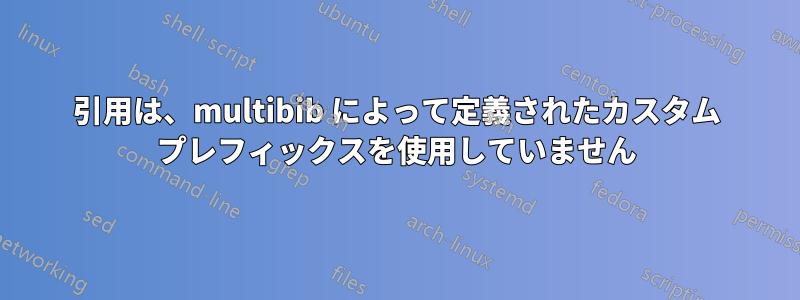 引用は、multibib によって定義されたカスタム プレフィックスを使用していません