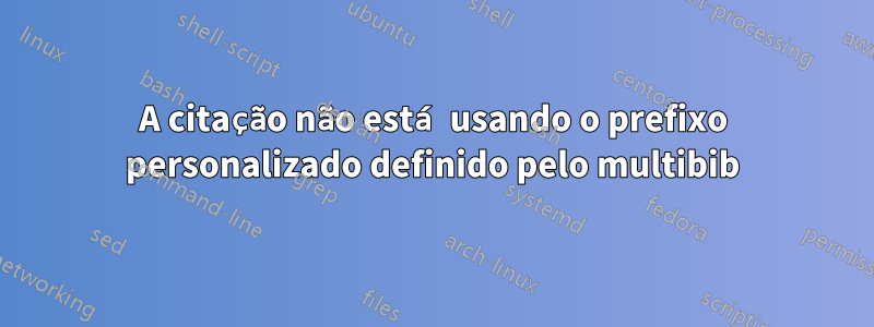 A citação não está usando o prefixo personalizado definido pelo multibib