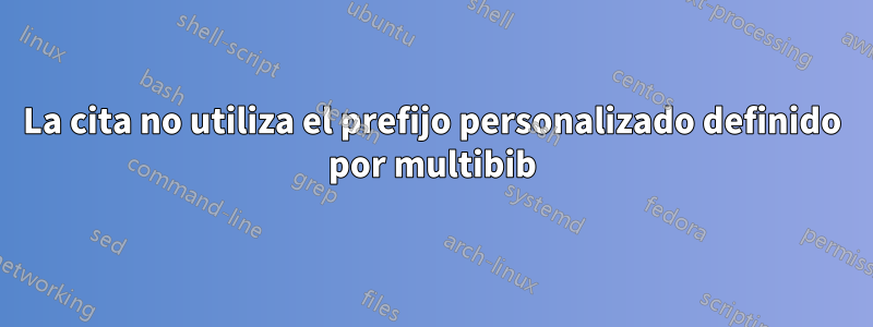 La cita no utiliza el prefijo personalizado definido por multibib