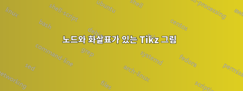 노드와 화살표가 있는 Tikz 그림 