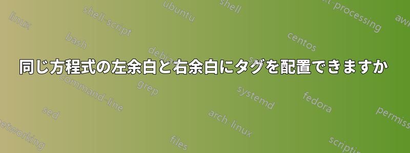 同じ方程式の左余白と右余白にタグを配置できますか