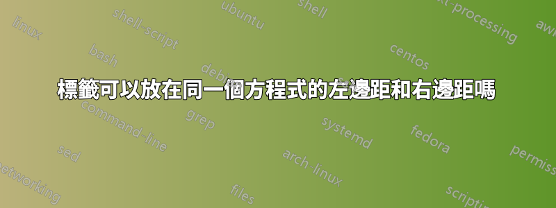 標籤可以放在同一個方程式的左邊距和右邊距嗎