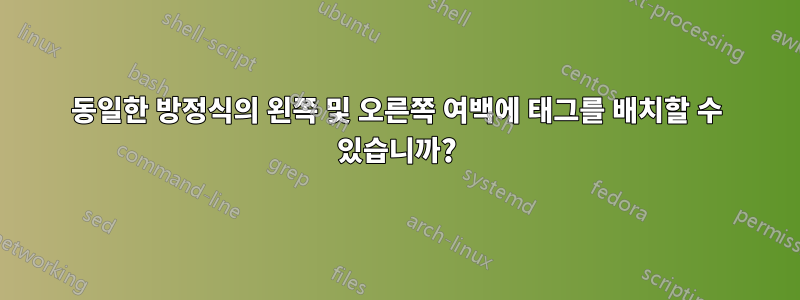 동일한 방정식의 왼쪽 및 오른쪽 여백에 태그를 배치할 수 있습니까?