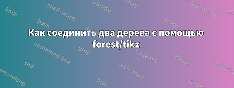 Как соединить два дерева с помощью forest/tikz