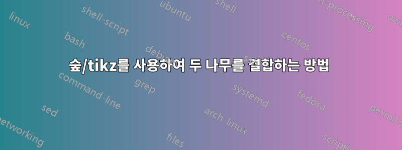 숲/tikz를 사용하여 두 나무를 결합하는 방법