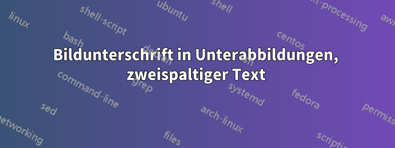 Bildunterschrift in Unterabbildungen, zweispaltiger Text