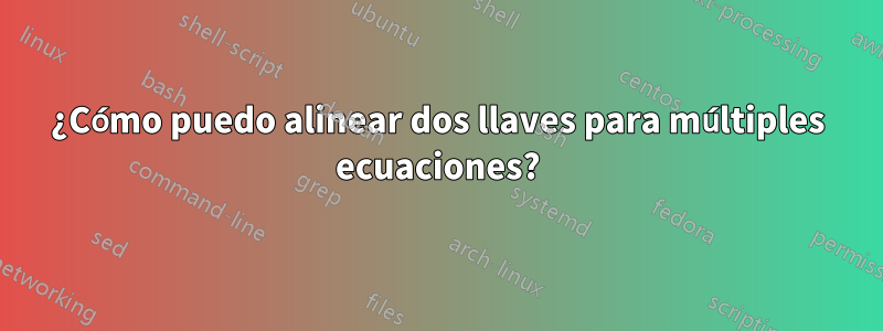 ¿Cómo puedo alinear dos llaves para múltiples ecuaciones?