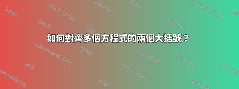 如何對齊多個方程式的兩個大括號？