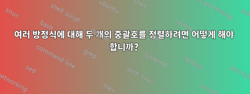 여러 방정식에 대해 두 개의 중괄호를 정렬하려면 어떻게 해야 합니까?