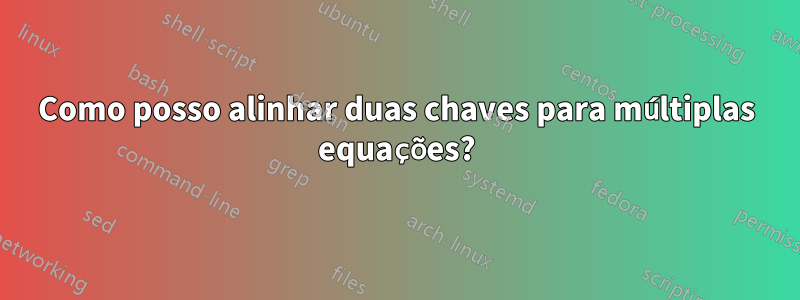 Como posso alinhar duas chaves para múltiplas equações?