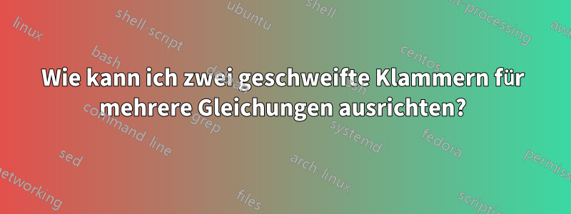 Wie kann ich zwei geschweifte Klammern für mehrere Gleichungen ausrichten?