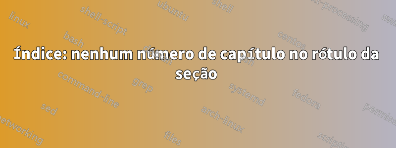 Índice: nenhum número de capítulo no rótulo da seção