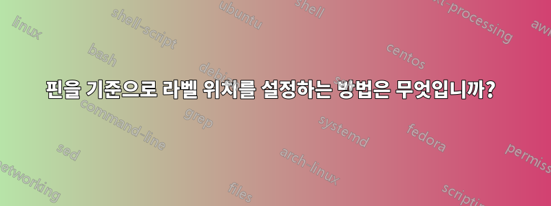 핀을 기준으로 라벨 위치를 설정하는 방법은 무엇입니까? 
