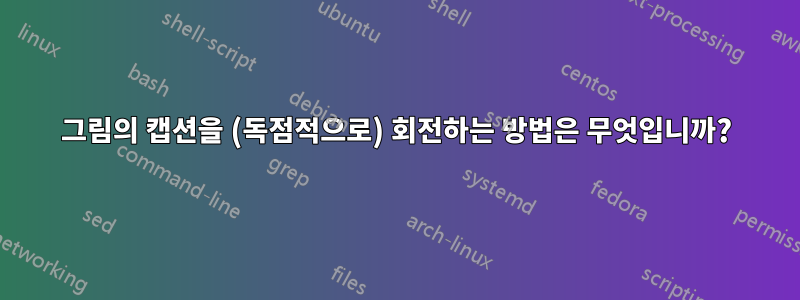 그림의 캡션을 (독점적으로) 회전하는 방법은 무엇입니까?