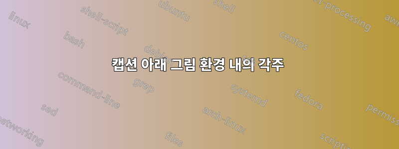 캡션 아래 그림 환경 내의 각주