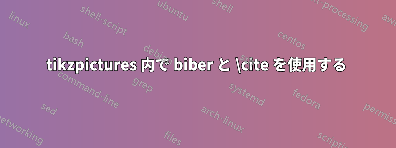 tikzpictures 内で biber と \cite を使用する