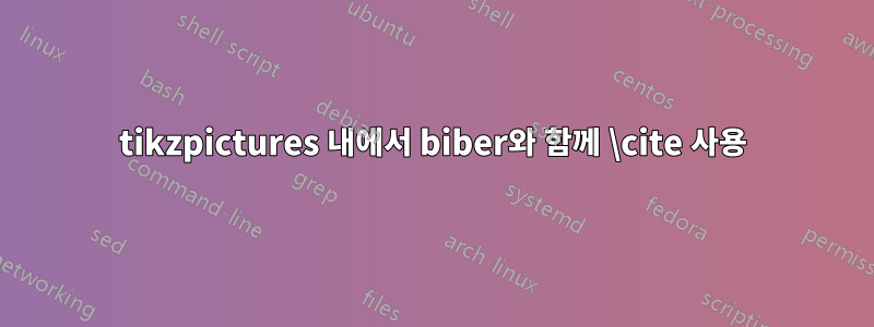 tikzpictures 내에서 biber와 함께 \cite 사용