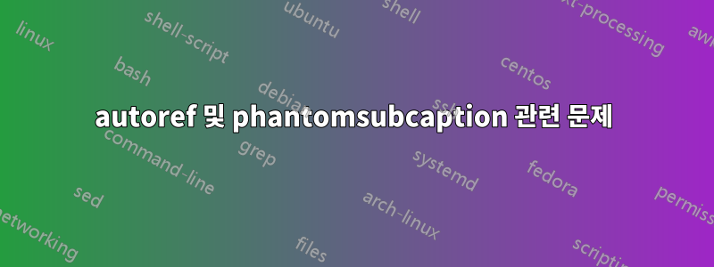 autoref 및 phantomsubcaption 관련 문제