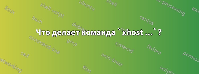 Что делает команда `xhost ...`?