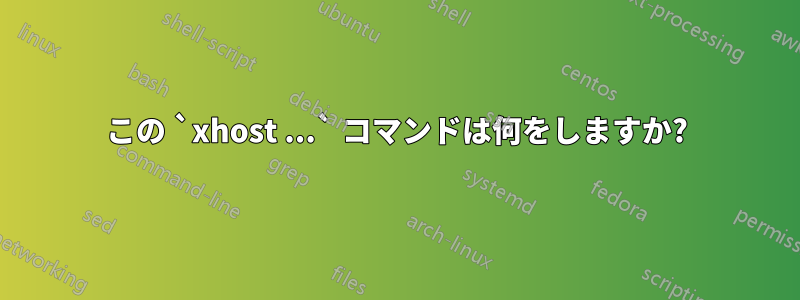 この `xhost ...` コマンドは何をしますか?