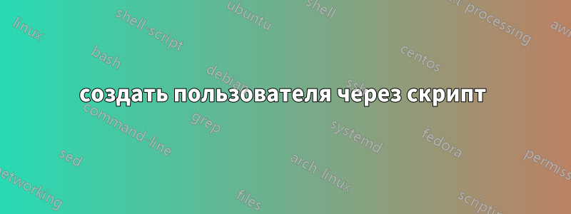 создать пользователя через скрипт