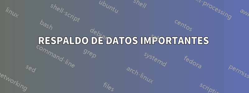 RESPALDO DE DATOS IMPORTANTES