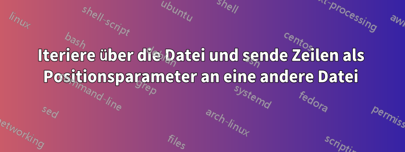 Iteriere über die Datei und sende Zeilen als Positionsparameter an eine andere Datei