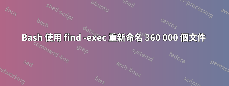 Bash 使用 find -exec 重新命名 360 000 個文件