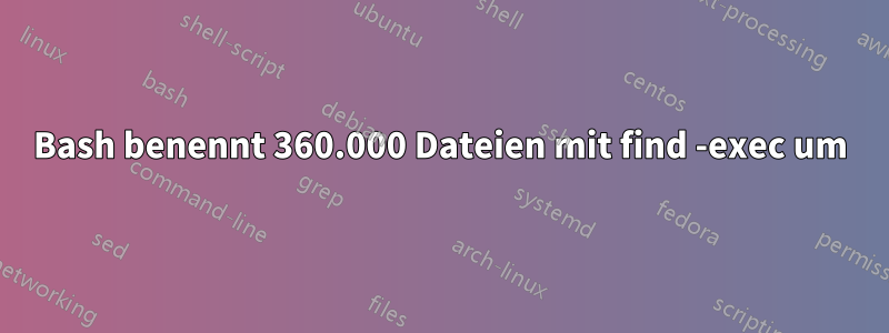 Bash benennt 360.000 Dateien mit find -exec um