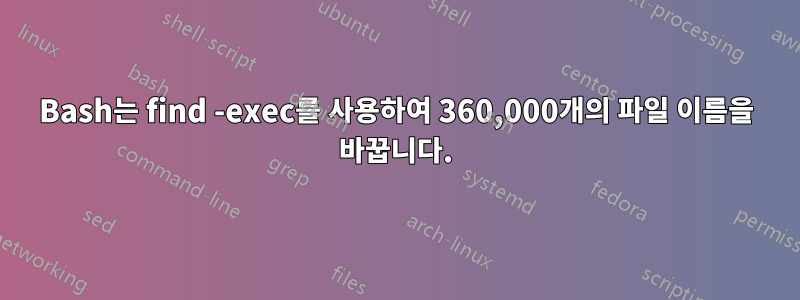Bash는 find -exec를 사용하여 360,000개의 파일 이름을 바꿉니다.