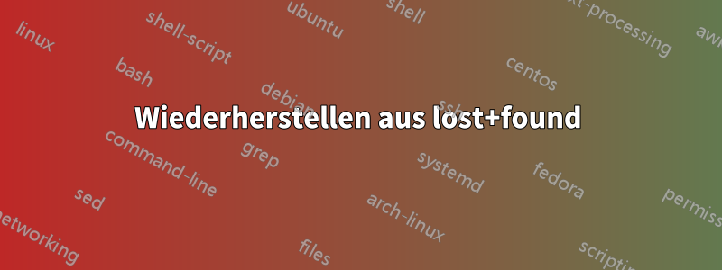 Wiederherstellen aus lost+found