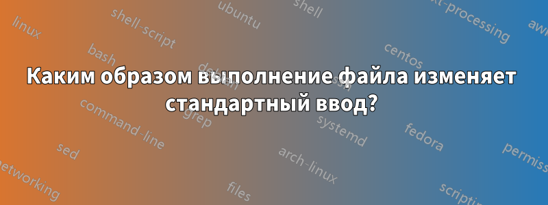 Каким образом выполнение файла изменяет стандартный ввод?