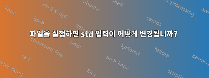 파일을 실행하면 std 입력이 어떻게 변경됩니까?