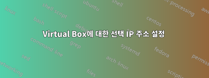 Virtual Box에 대한 선택 IP 주소 설정