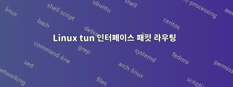 Linux tun 인터페이스 패킷 라우팅 